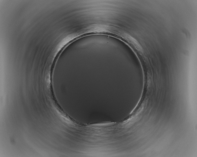 X0000111591226200907161447