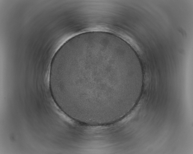 X0000111591228200907161447