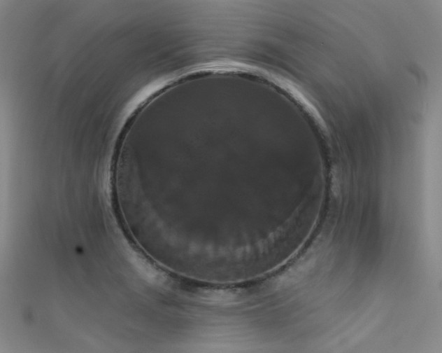 X0000111591229200907161447