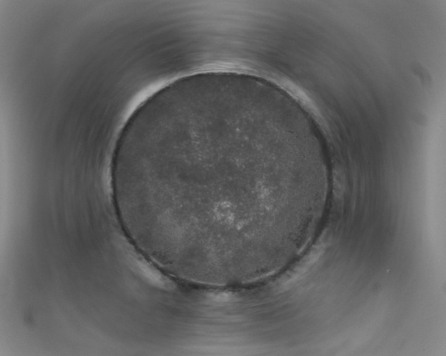 X0000111591230200907161447