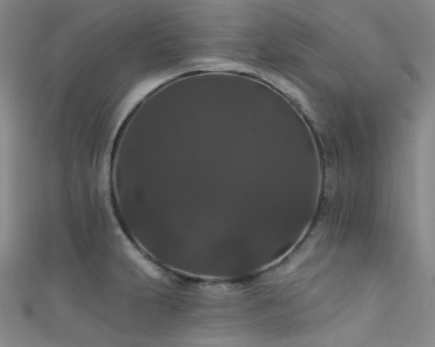 X0000111591231200907161447