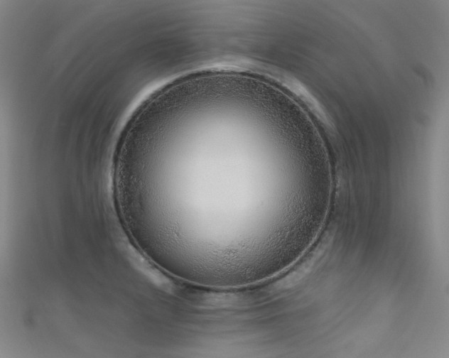 X0000111591232200907161447