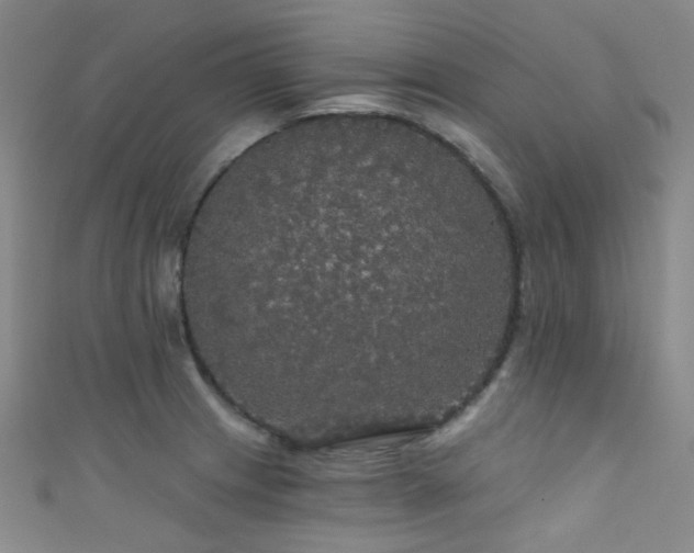 X0000111591233200907161447