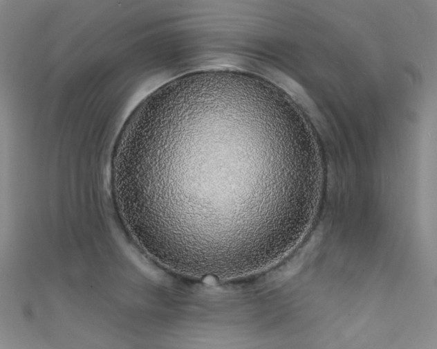 X0000111591234200907161447