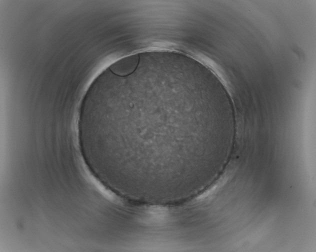 X0000111591235200907161447