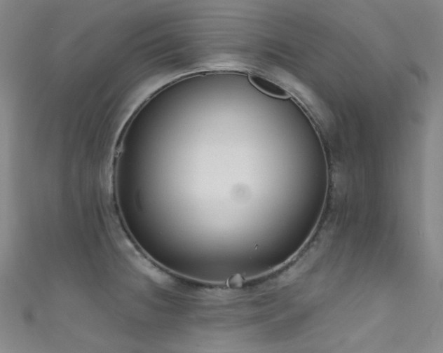 X0000111591236200907161447