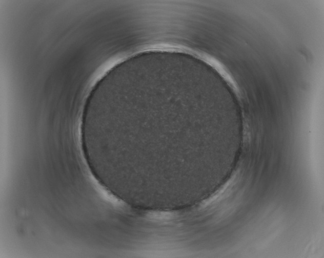 X0000111591237200907161447