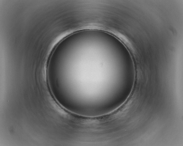 X0000111591238200907161447