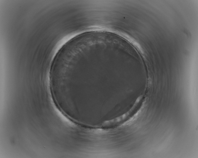 X0000111591239200907161447