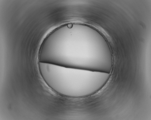 X0000111591240200907161447