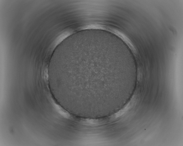 X0000111591241200907161447