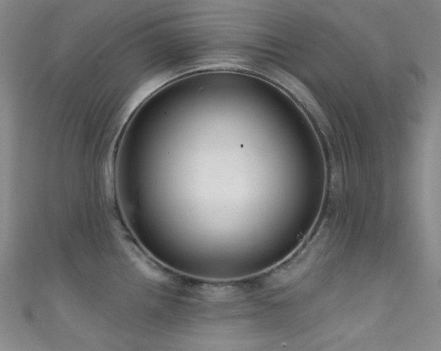 X0000111591242200907161447