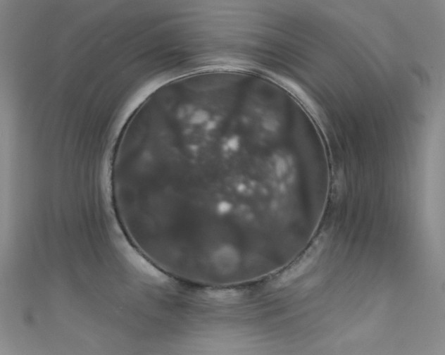 X0000111591243200907161447