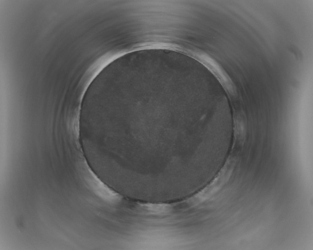 X0000111591244200907161447