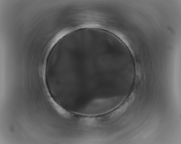 X0000111591245200907161447