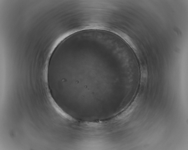 X0000111591246200907161447