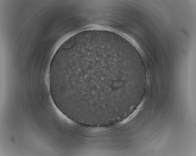 X0000111591247200907161447