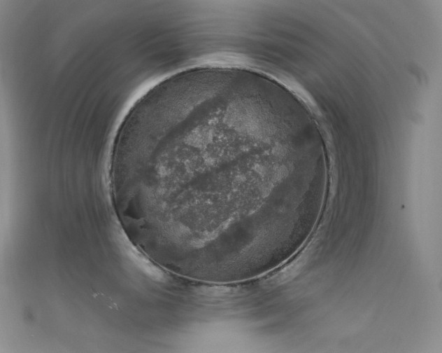 X0000111591248200907161447