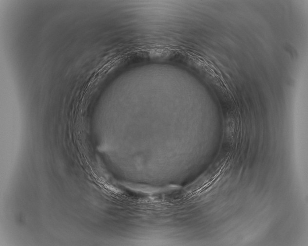 X0000111591249200907161446