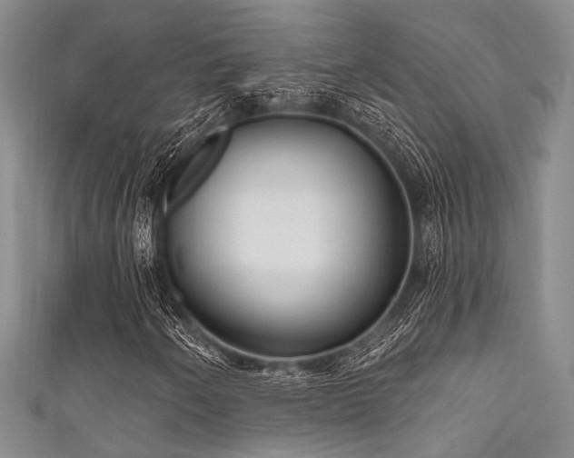 X0000111591250200907161446