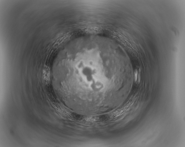 X0000111591251200907161446