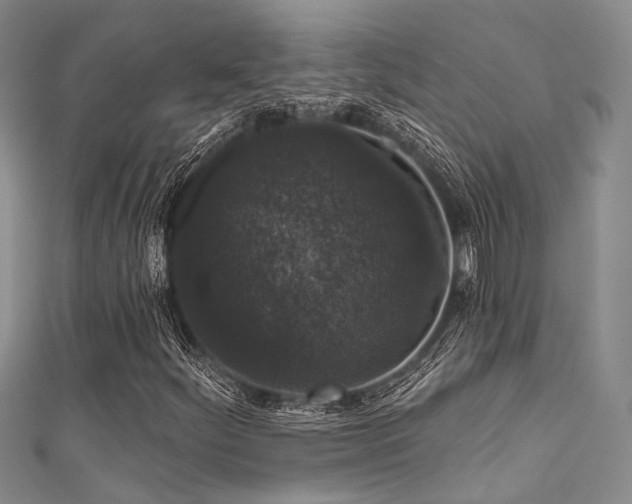 X0000111591252200907161446