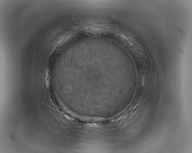 X0000111591253200907161446