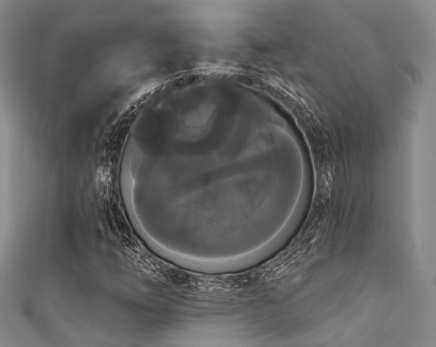 X0000111591254200907161446