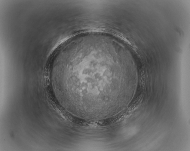 X0000111591255200907161446