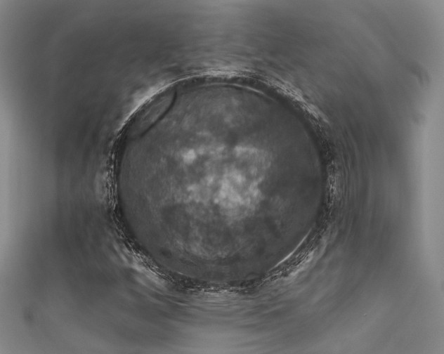 X0000111591256200907161446