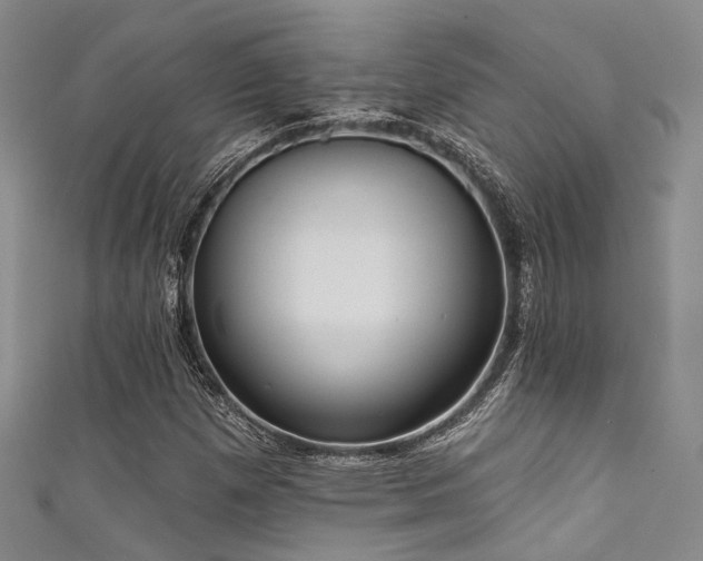 X0000111591257200907161446