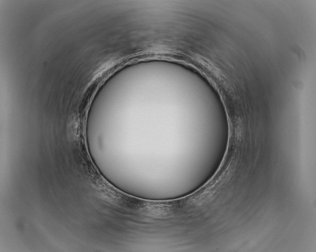 X0000111591258200907161446