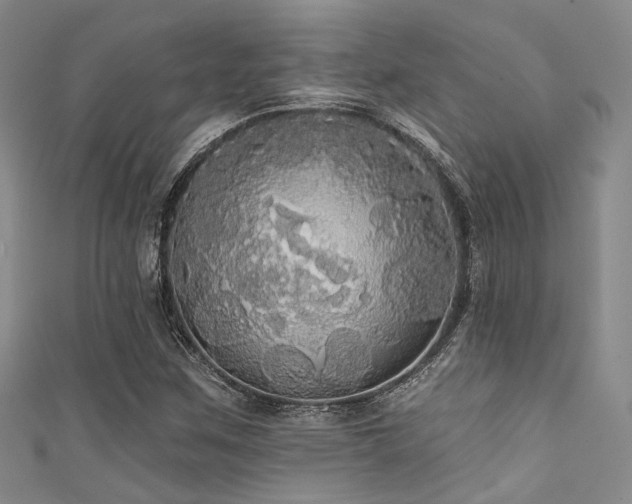 X0000111591259200907161446