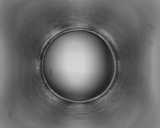 X0000111591260200907161446