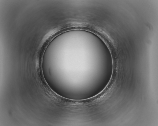 X0000111591261200907161446