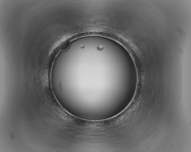 X0000111591262200907161446