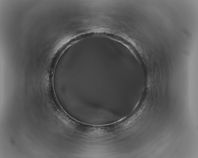 X0000111591263200907161446