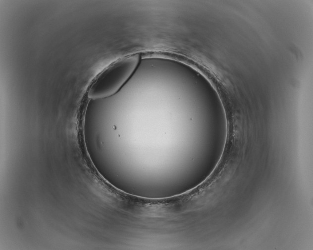 X0000111591264200907161446