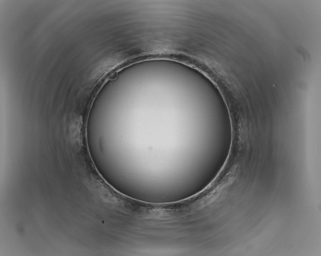 X0000111591265200907161446