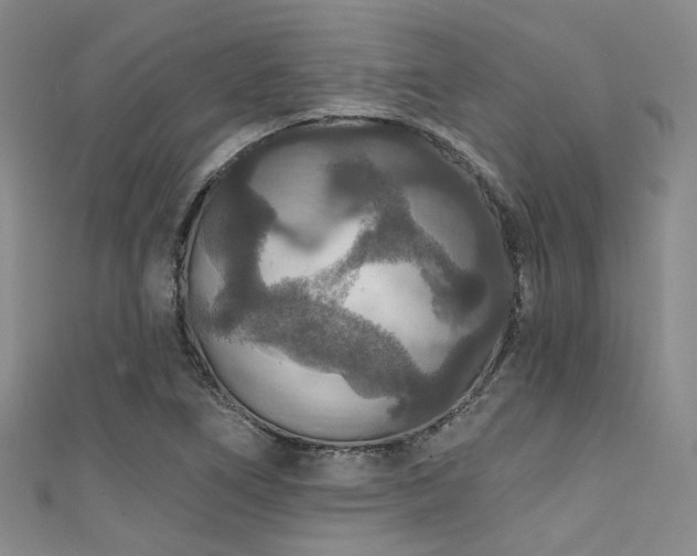 X0000111591266200907161446