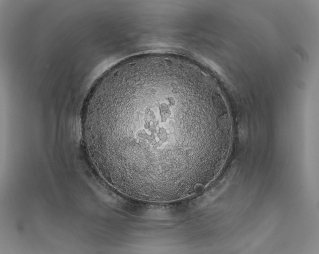 X0000111591267200907161446