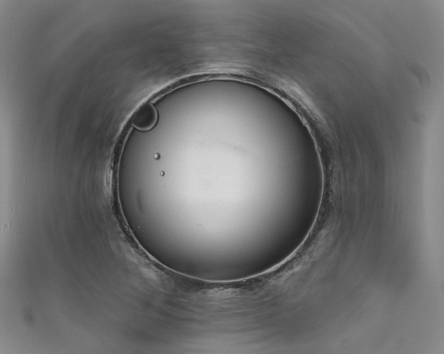 X0000111591268200907161446