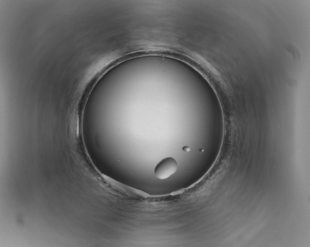 X0000111591269200907161446