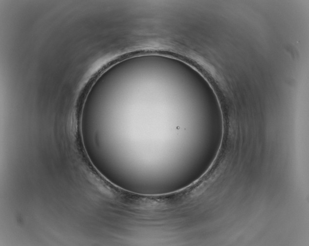 X0000111591270200907161446