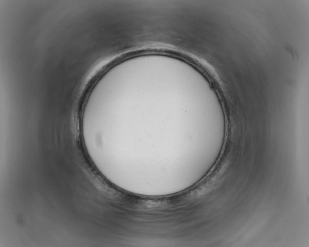 X0000111591271200907161446