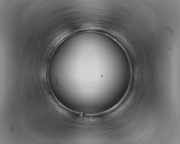 X0000111591273200907161446