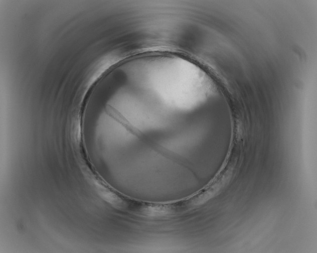 X0000111591274200907161446