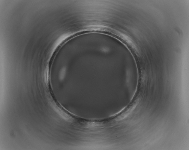 X0000111591275200907161446