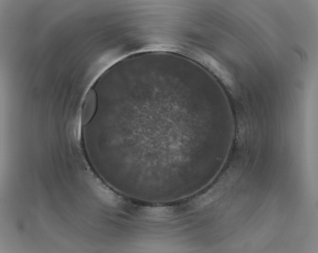 X0000111591276200907161446