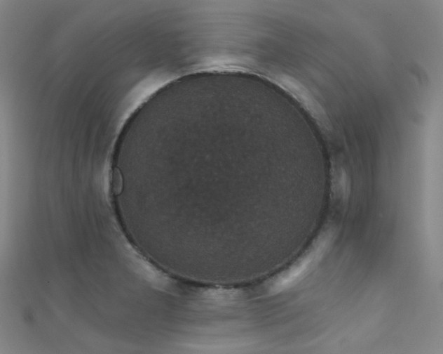 X0000111591277200907161446